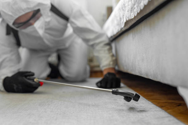 Professional Ant Control technician working in Harnett County County, NC